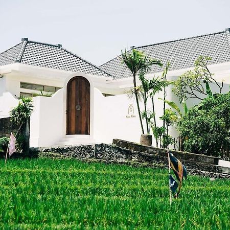 New Design Villa Casa Alma 3Bdr With Private Pool, Canggu Zewnętrze zdjęcie