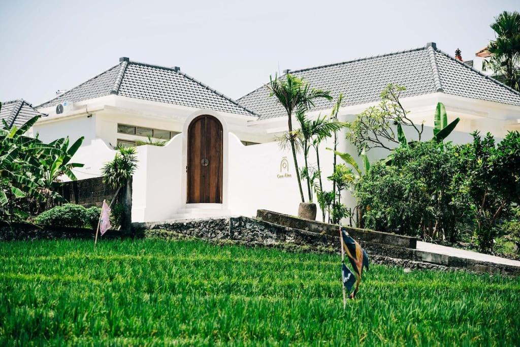 New Design Villa Casa Alma 3Bdr With Private Pool, Canggu Zewnętrze zdjęcie